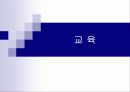 재일동포 29페이지