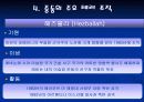 중동 테러리즘과 알카에다 35페이지