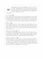 유아 놀잇감 조사 2페이지