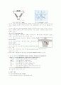 심전도(Electrocardiogram) 4페이지