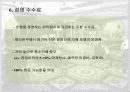 비용예측(Expense Forecast) 13페이지