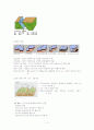 지질구조와 지질도 2페이지