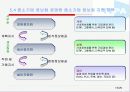 정부의 중소기업 정보화 지원사업과 지원 성공사례 15페이지