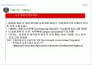 인도의 경제발전 8페이지