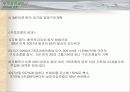 IMF 이후 대기업경영구조와 종합상사 14페이지