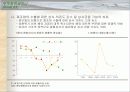 IMF 이후 대기업경영구조와 종합상사 21페이지