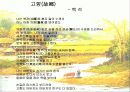 백석의 삶과 문학세계 10페이지