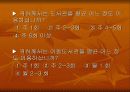 사회현상의 조사와 분석 19페이지