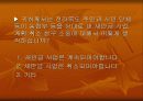 사회현상의 조사와 분석 27페이지