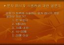 사회현상의 조사와 분석 30페이지