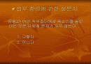 사회현상의 조사와 분석 34페이지
