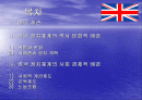 영국정치 2페이지