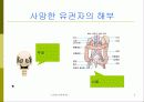 영국의 민주주의 6페이지