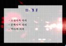 작품 양상과 총괄적 분석 21페이지