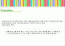 여성위생용품의 러시아시장 경쟁전략 17페이지