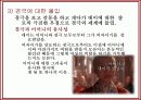영화 인물분석-패왕별희(覇王別姬: Farewell My Concubine) 17페이지