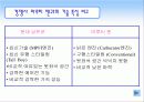 현대 인도 진출 성공사례 분석 10페이지