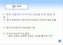 현대 인도 진출 성공사례 분석 22페이지