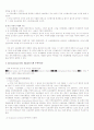 재무구조와 국제부채 10페이지