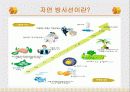원전 수거물 관리 4페이지