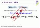 블루슈머 마케팅 3페이지