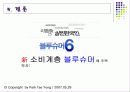 블루슈머 마케팅 14페이지