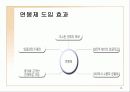 연봉제(우수발표) 13페이지