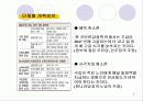 국민연금법 개혁안의 내용과 문제점 및 개선방향 6페이지