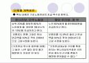 국민연금법 개혁안의 내용과 문제점 및 개선방향 7페이지