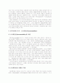 [정부회계][정부회계시스템]정부회계의 특징과 문제점 및 향후 정부회계시스템 방안 분석(재무회계의 개념, 정부회계의 회계기법상 특징, 정부 재무보고제도의 문제점, 정부회계시스템의 모색, 정부회계시스템) 15페이지