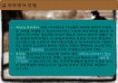 부부관계의 실태와 이론 및 모형 (에뿔발표) 16페이지