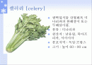 셀러레 발표 자료 2페이지