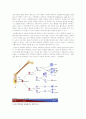 stem cells:The real Culprits in Cancer? 2페이지