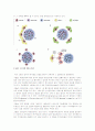 stem cells:The real Culprits in Cancer? 5페이지