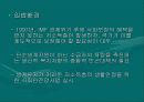 국민기초생활보장법의 문제점및해결방안(A+) 4페이지