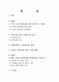 소비의 양면성에 따른 소비자 행동분석 1페이지