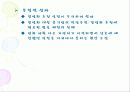 국민의 정부와 참여 정부의 공기업 민영화 추진의 대하여 13페이지