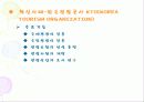 국민의 정부와 참여 정부의 공기업 민영화 추진의 대하여 34페이지