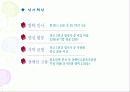 국민의 정부와 참여 정부의 공기업 민영화 추진의 대하여 40페이지