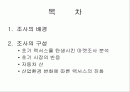 [경영]렉서스 마케팅 조사분석 2페이지