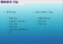 멘토링의 유형과 효과 및 성공기업사례 분석 4페이지