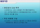 멘토링의 유형과 효과 및 성공기업사례 분석 21페이지