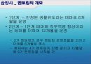 멘토링의 유형과 효과 및 성공기업사례 분석 29페이지