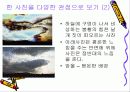 사진과회화 (한사진에 대한 다양한 관점해석) 4페이지