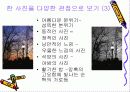 사진과회화 (한사진에 대한 다양한 관점해석) 5페이지