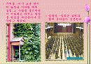 설레임을 느끼게 만드는 사진과 회화 사례 4페이지