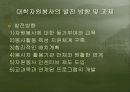 대학자원봉사의필요성과 발전방향 11페이지