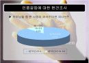 인종갈등의 실태와 문제점및 발전방향에 대하여 조사와 분석(A+발표) 10페이지