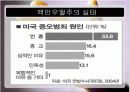 인종갈등의 실태와 문제점및 발전방향에 대하여 조사와 분석(A+발표) 16페이지