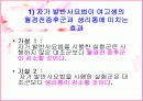발마사지의 특징과 효과분석(A+발표) 13페이지